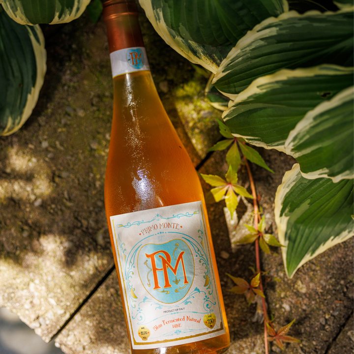 2024 Primo Monte Orange