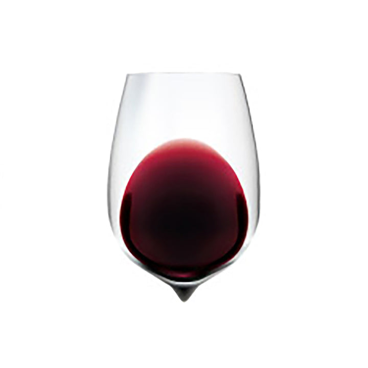 2024 Elvio Cogno Langhe Nebbiolo "Montegrilli"